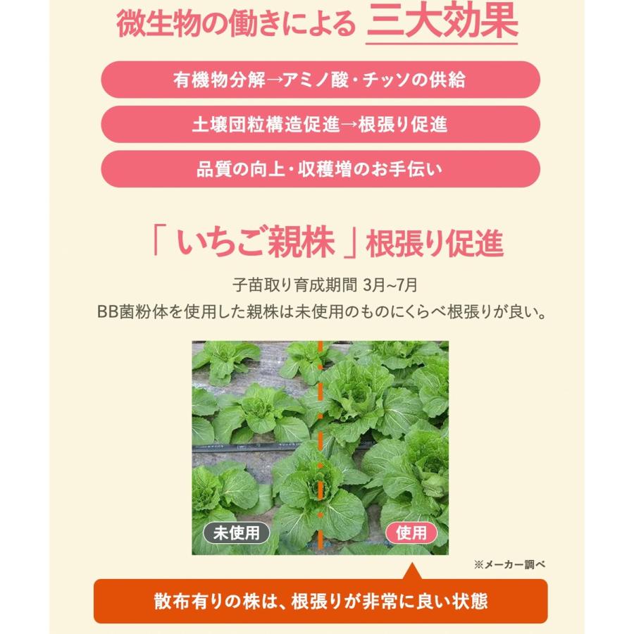 バイオの惠 液体タイプ 10L BIGBIO 50〜100倍希釈用 土壌改良 成長促進 植物 野菜 希釈済み ビッグバイオ (M) |  | 04