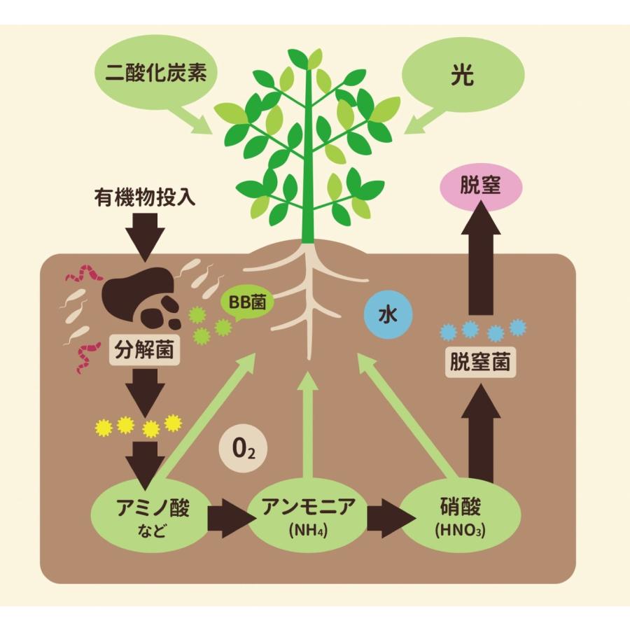 バイオの惠 粉粒タイプ 18L BIGBIO 土壌改良 成長促進  植物 野菜 肥料 堆肥 と混ぜる 希釈済み ビッグバイオ (M) |  | 03