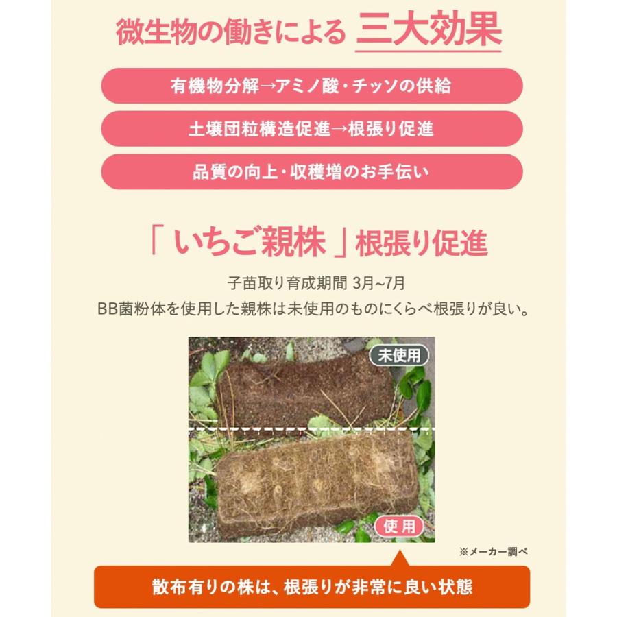 バイオの惠 粉粒タイプ 18L BIGBIO 土壌改良 成長促進  植物 野菜 肥料 堆肥 と混ぜる 希釈済み ビッグバイオ (M) |  | 04