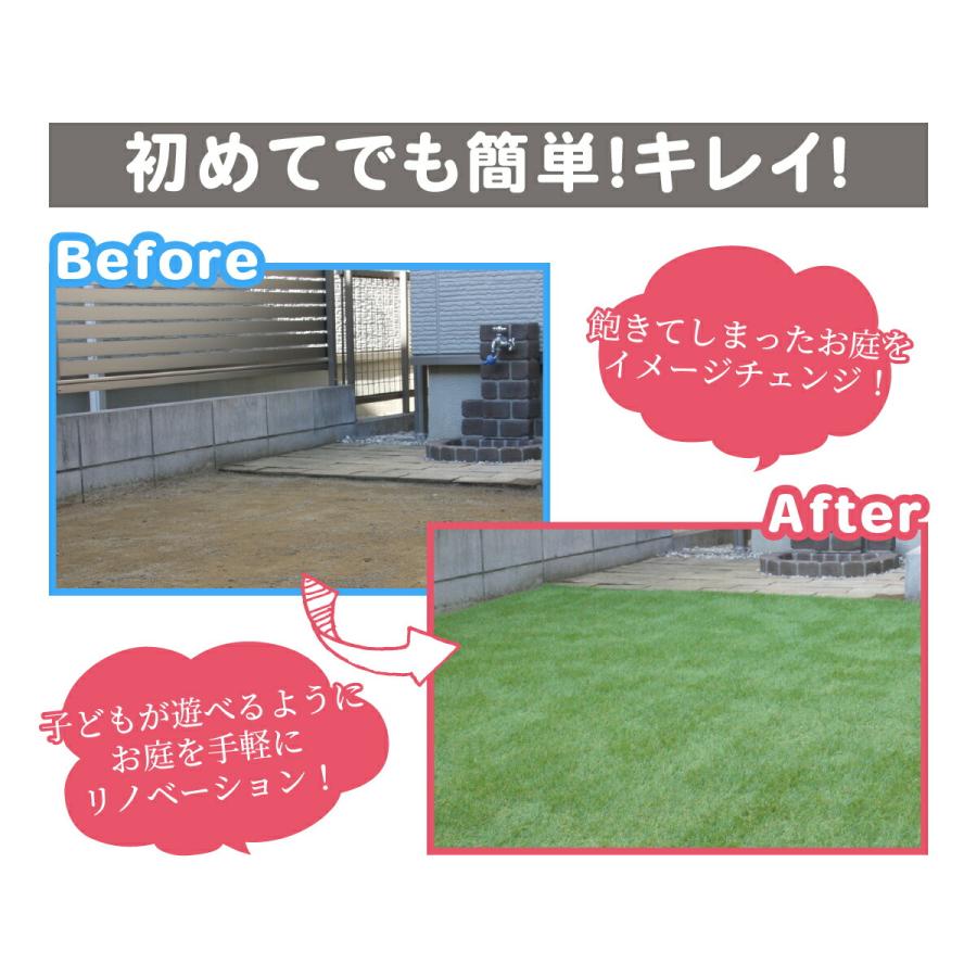 メモリーターフ MTS20-0110 メモリーターフスウィート 巾1m×長さ10m 1ロール 人工芝 ガーデニング ベランダ (M) | unionbiz | 09