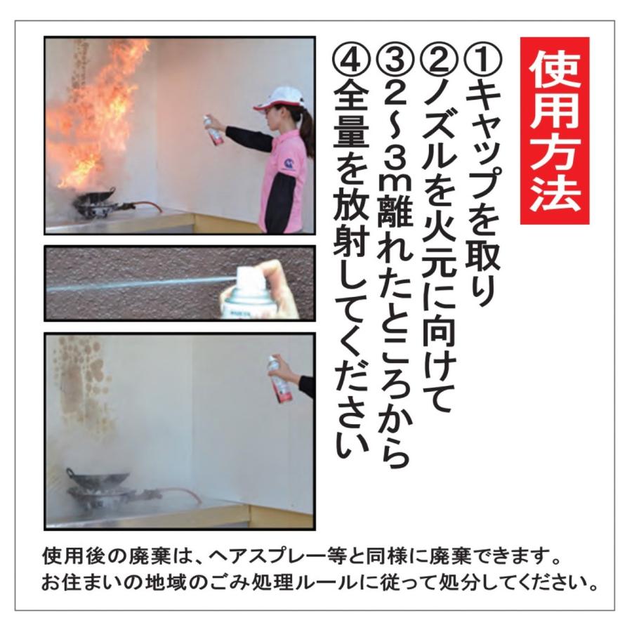 【3本セット】 丸山製作所 A021507101B 消火スプレー 消す兵衛 NEO エアゾール式 防災 消火 スプレー キッチン (06) | 丸山製作所 | 02