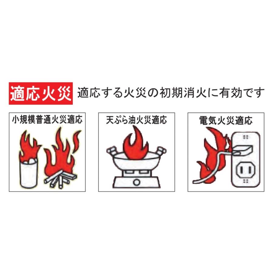 【10本セット】 使用期限2026年4月迄  丸山製作所 A021507101B 消火スプレー 消す兵衛 NEO (10) | 丸山製作所 | 01