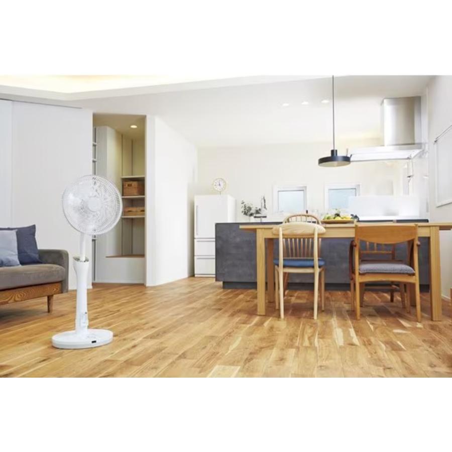 APIX FSSL-9539X DC リビング 扇風機 高さ調整 自動昇降 3D立体首振り タッチパネル操作 アピックス (16) | APIX INTERNATIONAL | 06