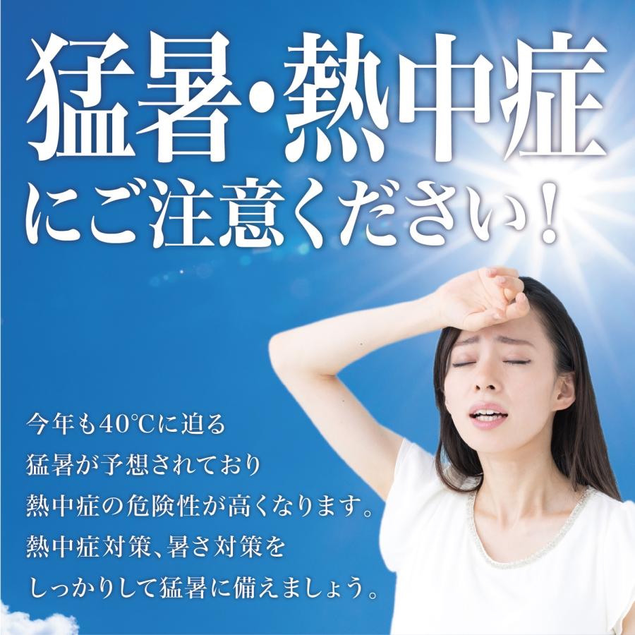 クールリング ネッククーラー クールネックリング アイスネックバンド アイスネックリング アイス ネック 首 保冷剤 (2C) : シンプラ ...