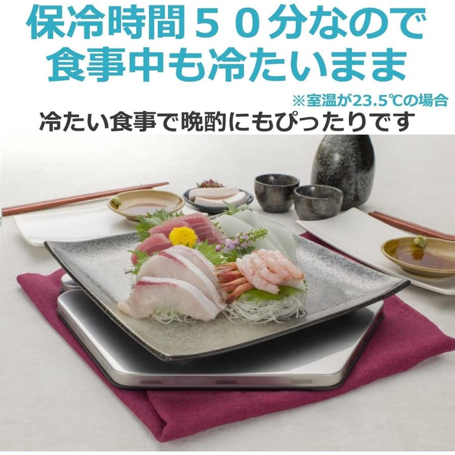 CCP ZF-CP72-SV フローズンプレート ステンレス 保冷 軽量 スリム プレート 刺身 サラダ そうめん シーシーピー (M) | CCP | 02