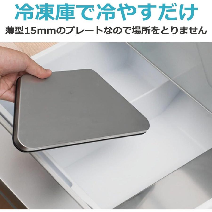 CCP ZF-CP72-SV フローズンプレート ステンレス 保冷 軽量 スリム プレート 刺身 サラダ そうめん シーシーピー (M) | CCP | 05