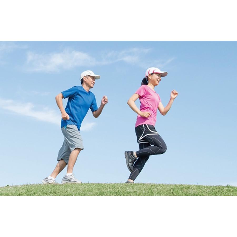 Iwatani NRS-1ピュア 酸素缶 2本  酸素 酸素補給 登山 スポーツ ジョギング ハイキング 疲労 回復 イワタニ (06) | Iwatani | 02