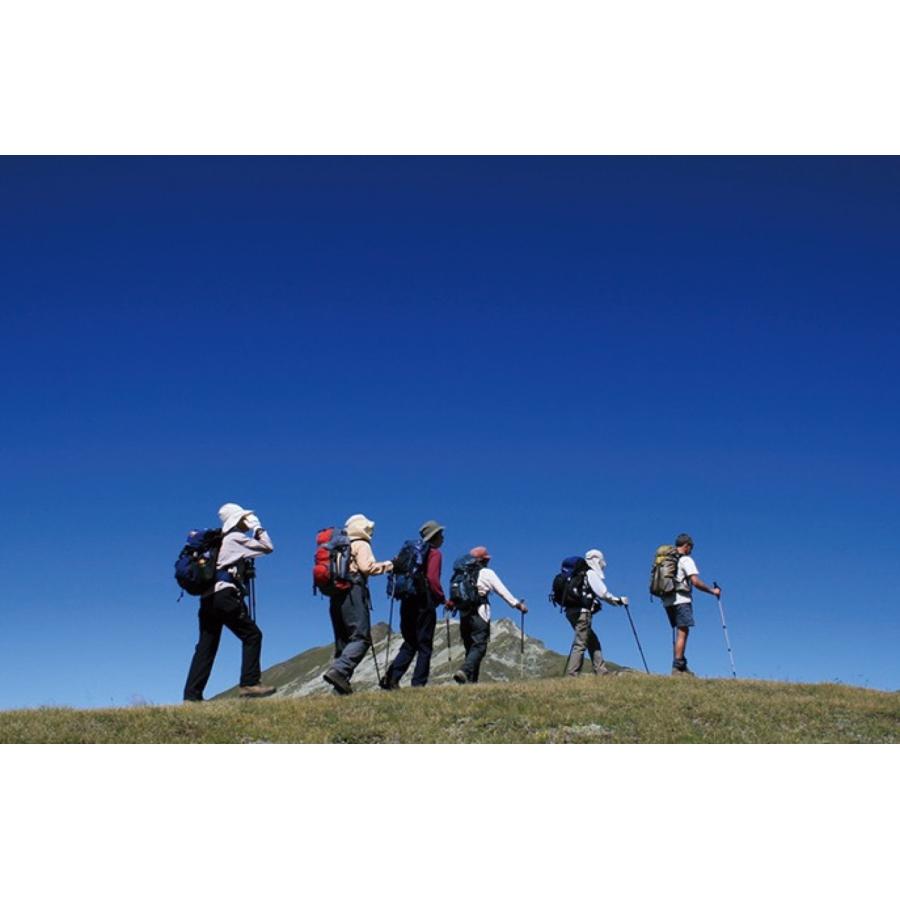 Iwatani NRS-1ピュア 酸素缶 5本  酸素 酸素補給 登山 スポーツ ジョギング ハイキング 疲労 回復 イワタニ (06) | Iwatani | 03