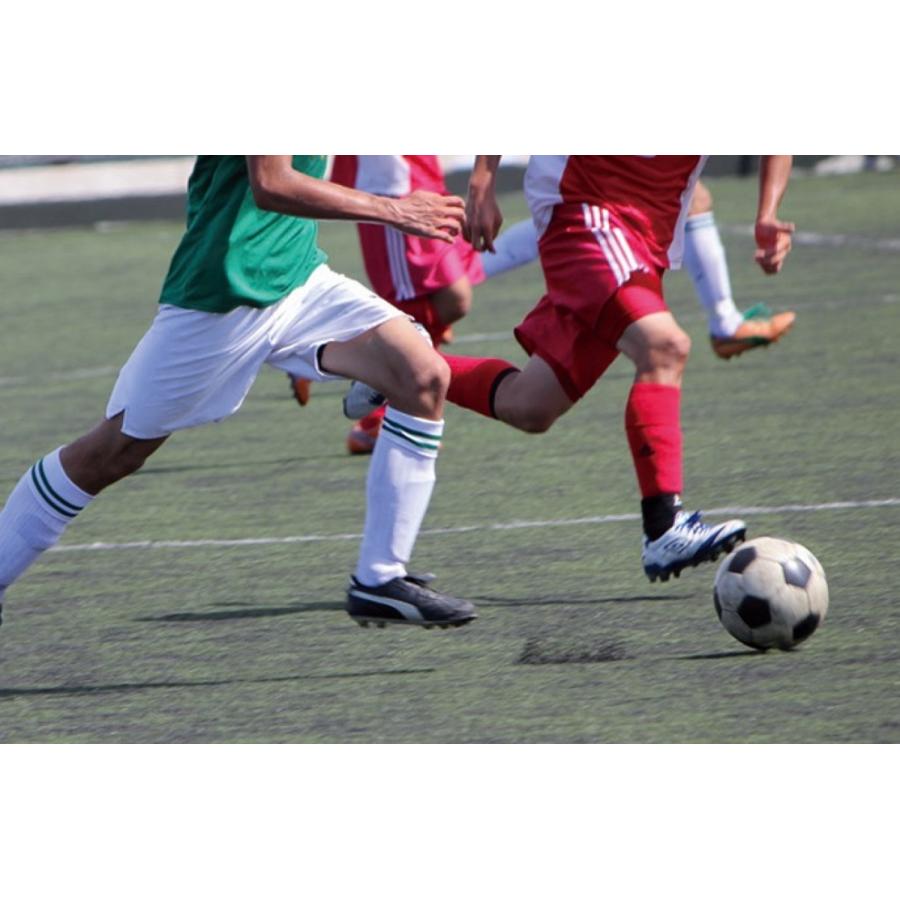 Iwatani NRS-1ピュア 酸素缶 5本  酸素 酸素補給 登山 スポーツ ジョギング ハイキング 疲労 回復 イワタニ (06) | Iwatani | 04