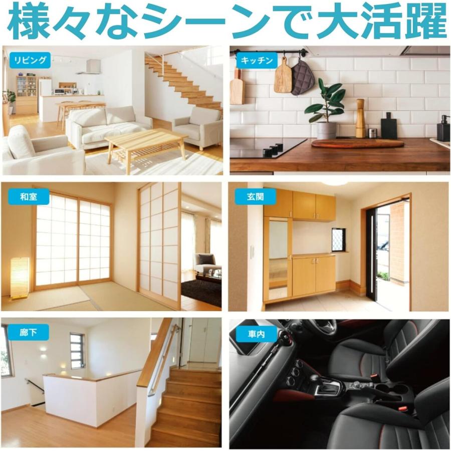 CCP CM-DC95-WH SWEEPLUS コードレス 充電式 スティック ハンディ 吊り下げ 軽量 掃除 掃除機 シーシーピー (M) | CCP | 06