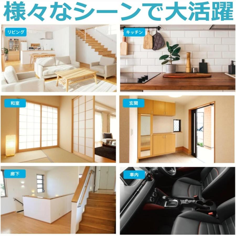 CCP CM-DC99-WH コードレス スリム クリーナー ハンディ ハイパワー 軽量 コンパクト 掃除 掃除機 車内 シーシーピー (M) | CCP | 05