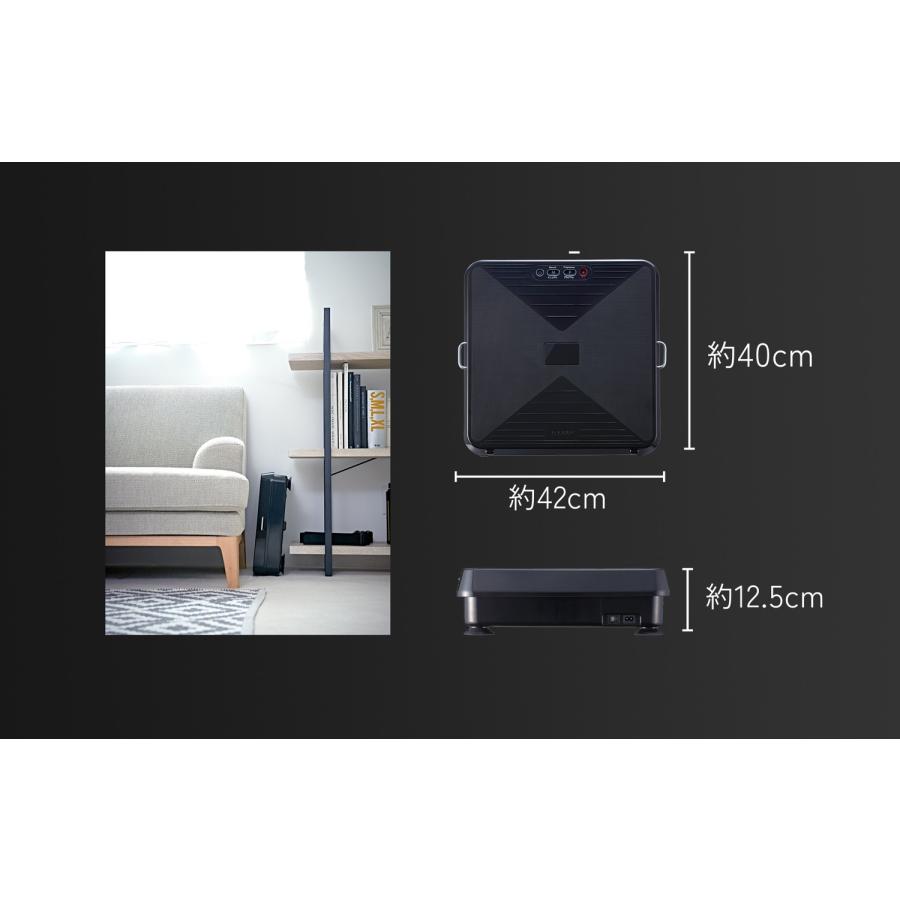 ATEX AX-HXL300 ルルド シェイプアップボード 振動 エクササイズ シェイプアップ トレーニング 体幹 アテックス (12) | アテックス | 07