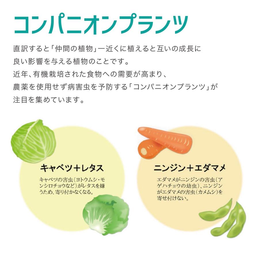 家庭用ニーム バリアミスト 忌避剤 殺虫剤不使用 非毒性 園芸 栽培 植物 野菜 果物 庭 花 虫 害虫 虫除け 防虫 スプレー (06) |  | 01