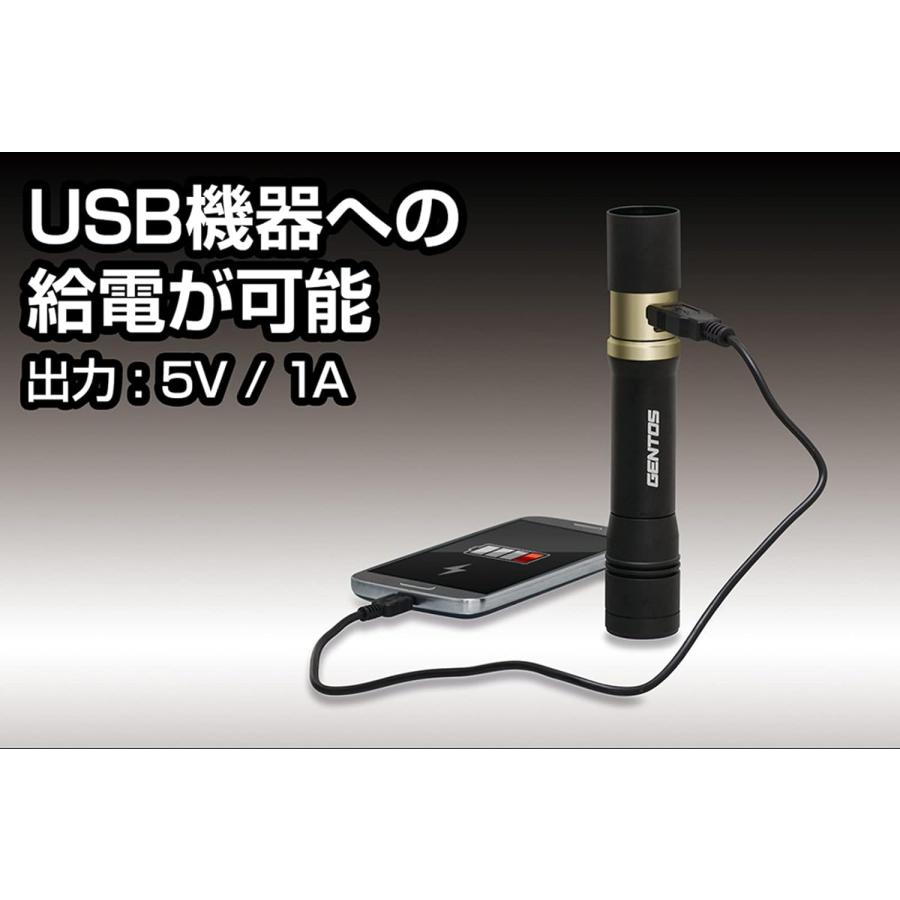 GENTOS RX-486PB 懐中電灯 900ルーメン 充電式 給電可能 LED 調光 耐塵 耐水 ハンディライト ライト ジェントス (05) | GENTOS | 02