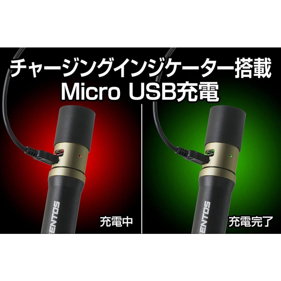 GENTOS RX-486PB 懐中電灯 900ルーメン 充電式 給電可能 LED 調光 耐塵 耐水 ハンディライト ライト ジェントス (05) | GENTOS | 03