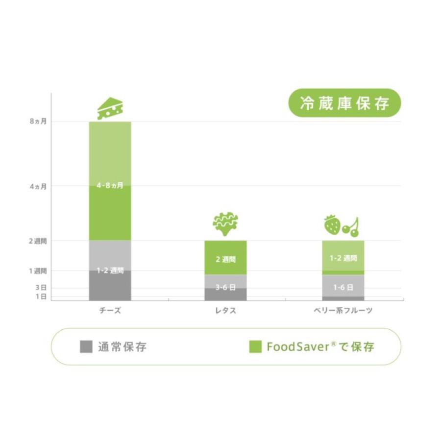 FoodSaver FM2010 コンパクトモデル 密閉 真空 料理 保存 FM2010-040 FM2010040 フードセーバー (10) | FoodSaver | 10