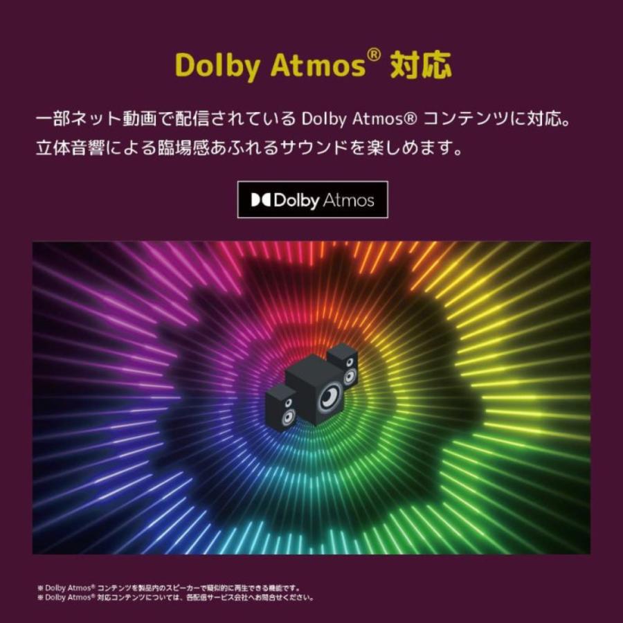 【法人様限定】ORION GL981U GoogleTV搭載 チューナーレス スマートテレビ 98V型 オリオン 【北海道・沖縄・離島不可】 | オリオン電気（ドウシシャ） | 10