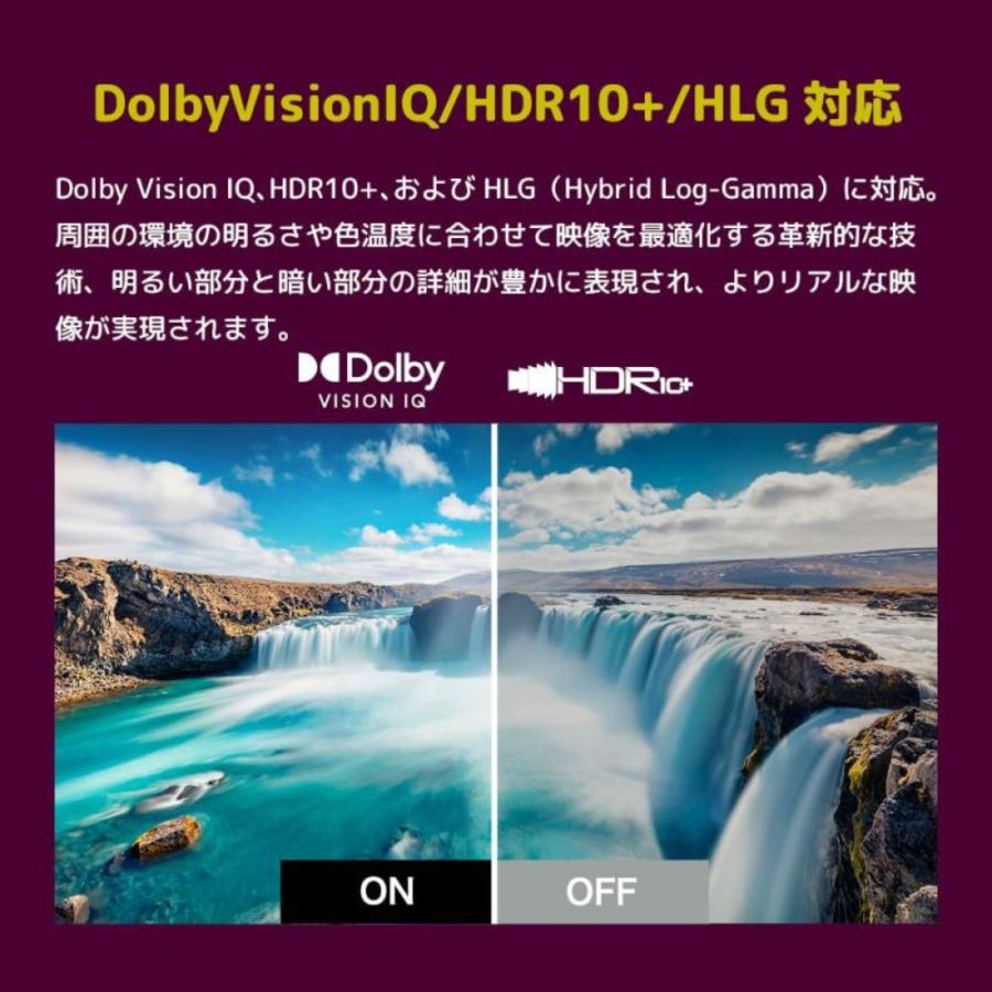 【法人様限定】ORION GL981U GoogleTV搭載 チューナーレス スマートテレビ 98V型 オリオン 【北海道・沖縄・離島不可】 | オリオン電気（ドウシシャ） | 07