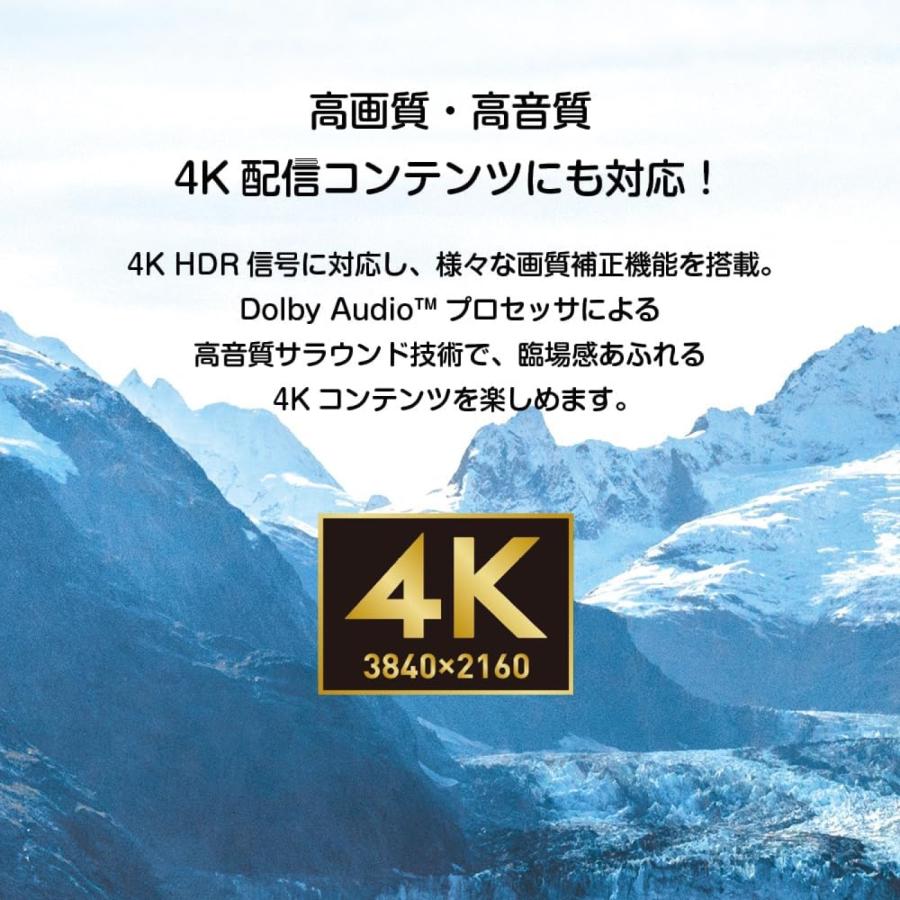 【法人様限定】  ORION GL431U チューナーレス テレビ 43V型 4K HDR リモコン DOSHISHA ドウシシャ オリオン 【北海道・沖縄・離島不可】 | オリオン電気（ドウシシャ） | 06