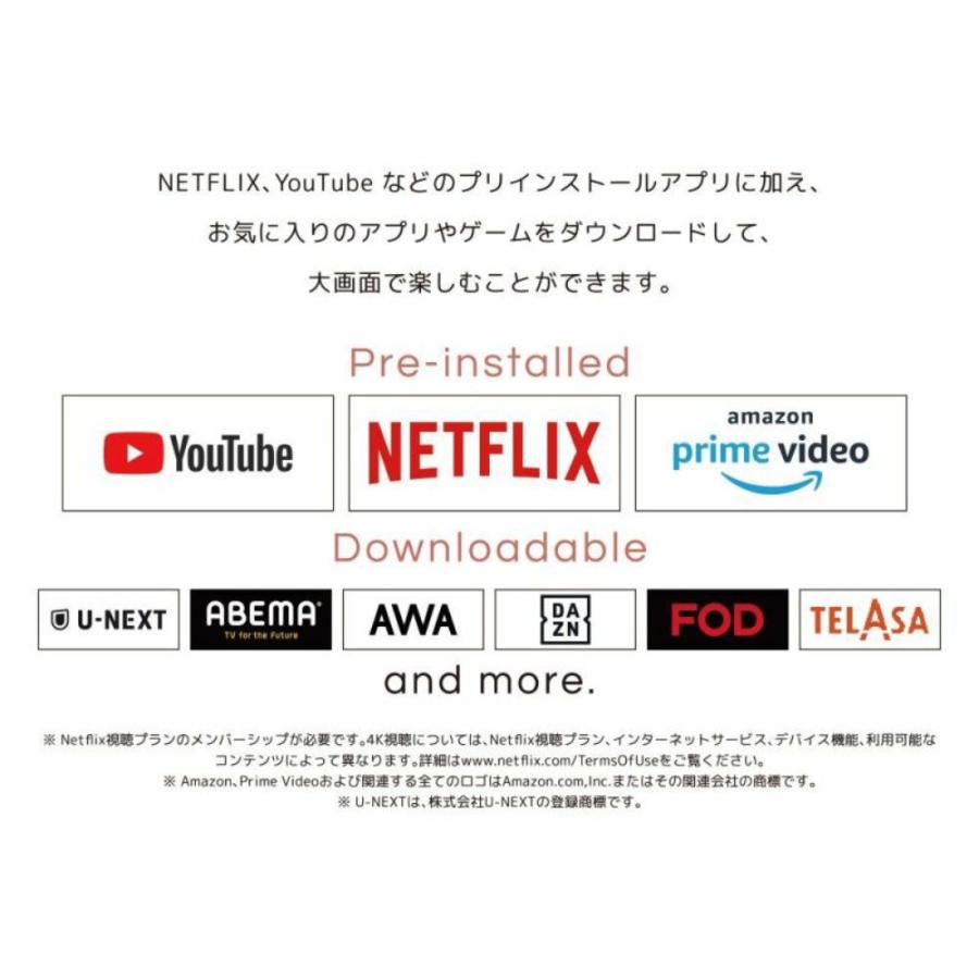 ORION PDG-241F ポータブル チューナーレステレビ 24V型 GoogleTV搭載 24型 フルハイビジョン スマートテレビ オリオン (14) | ORION RDシリーズ | 04