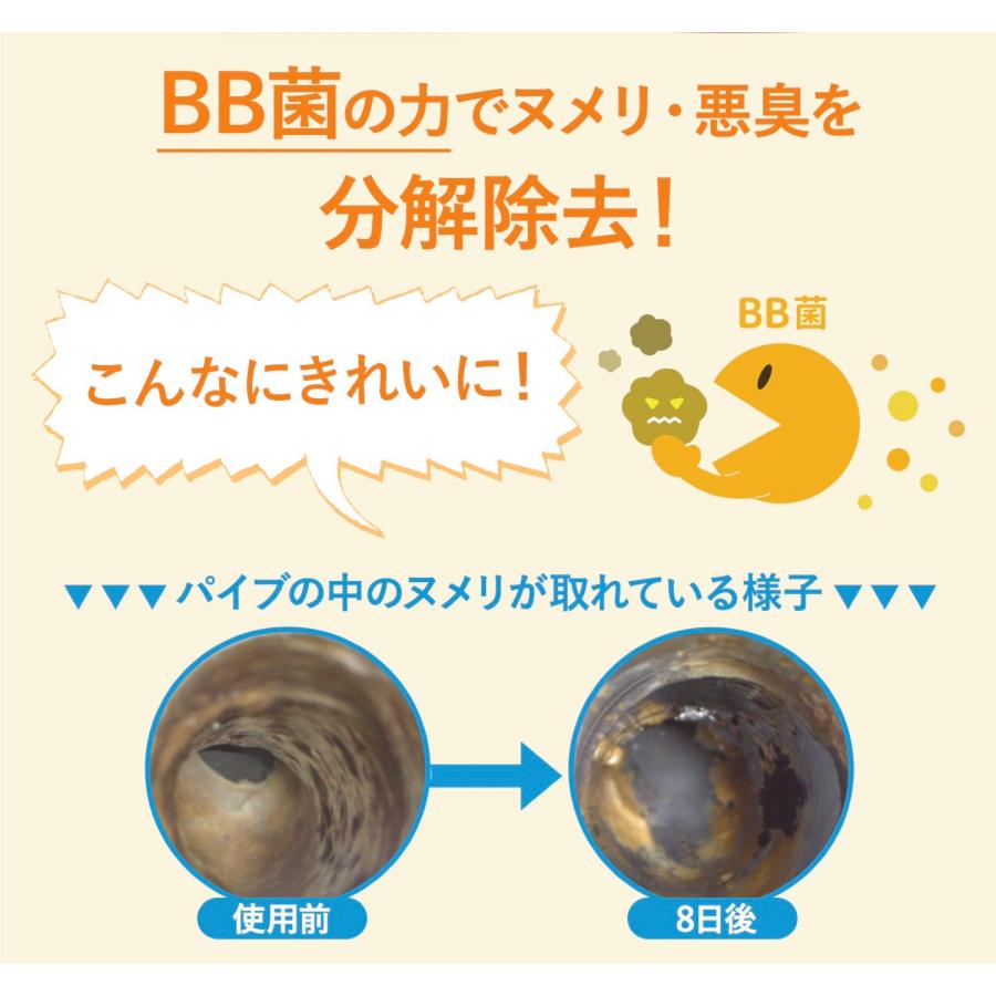 BIGBIO パイプピッカ!ピッカ! 粒タイプ 50錠 約10回分 なっとうキング 納豆菌 BB菌 中性 ぬめり取り 悪臭 消臭 ビッグバイオ (1C) | ビッグバイオ | 01