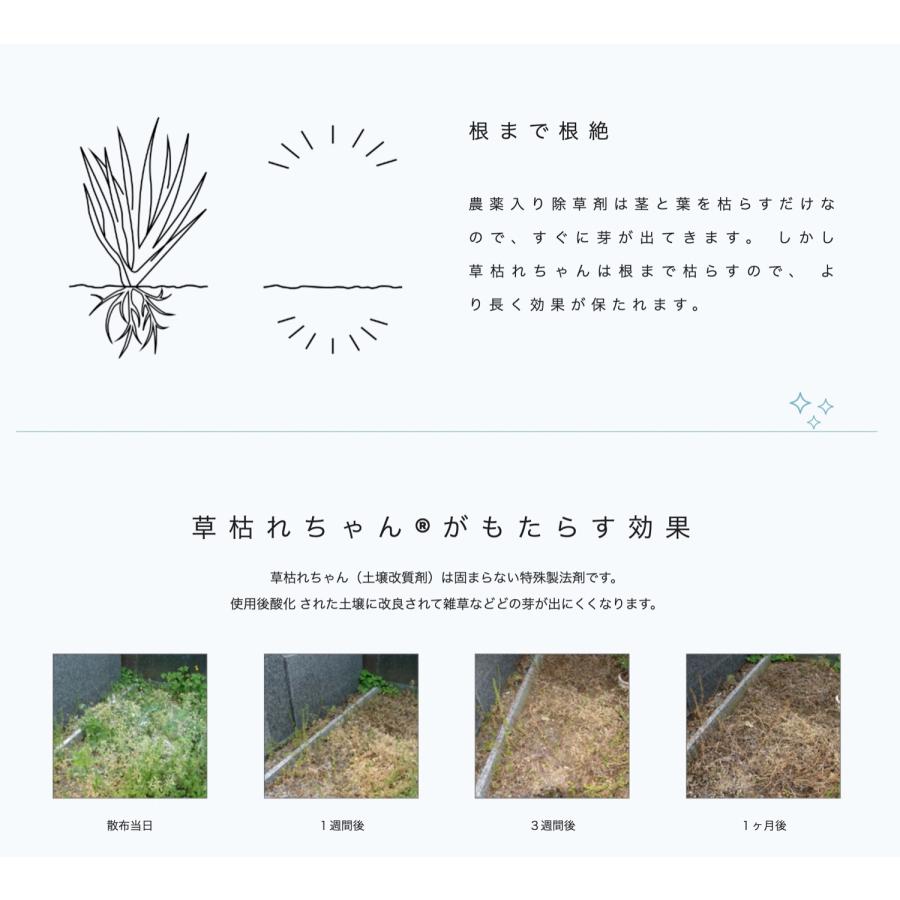 草枯れちゃん 3kg 除草材 除草剤 雑草 完全無農薬 土質改良 庭 駐車場 ペット 多孔質セラミック 人に優しい 塩 くさかれちゃん 旭東 (05) | 旭東 | 02