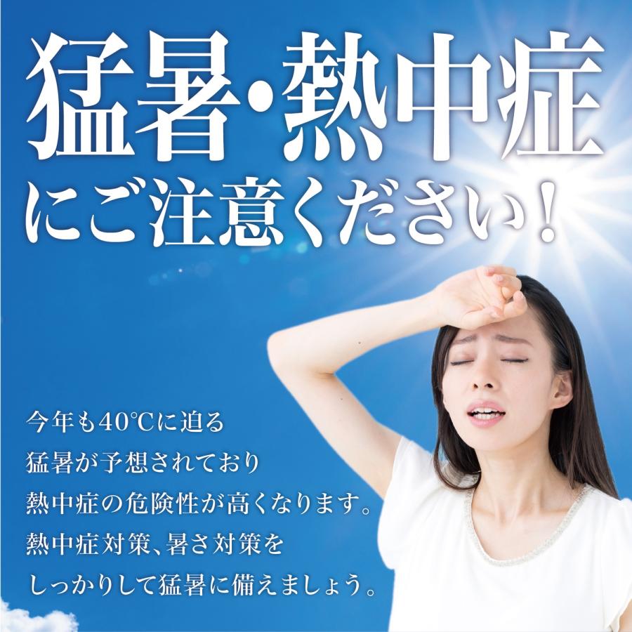 ダブルクーリング 二層 ネッククーラー クールネックリング アイスネックバンド クールバンド アイスネックリング イスクーリング クールリング (3C) |  | 01