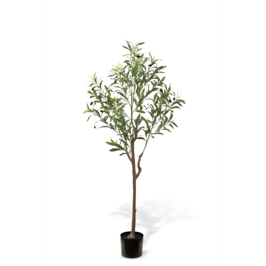 Eclia アーティシャルグリーン オリーブ フェイクグリーン CT触媒 抗菌 消臭 防汚 日本国内加工 組立式 造花 エクリア KH-61391 (D1-14) |  | 04