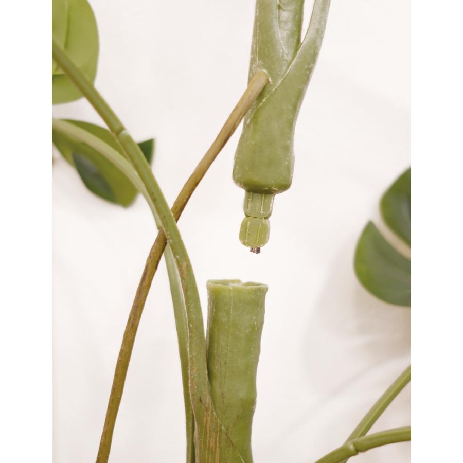 Eclia アーティシャルグリーン モンステラ フェイクグリーン CT触媒 抗菌 消臭 防汚 日本国内加工 組立式 造花 エクリア Eclia KH-61392 (D1-10) |  | 01