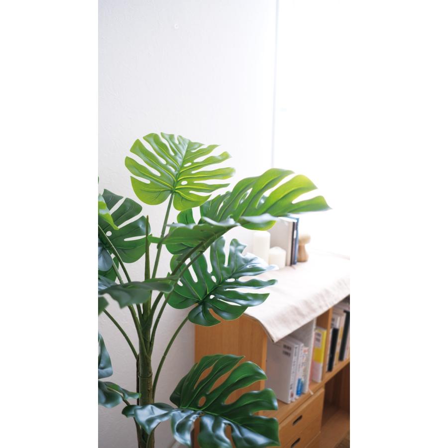 Eclia アーティシャルグリーン モンステラ フェイクグリーン CT触媒 抗菌 消臭 防汚 日本国内加工 組立式 造花 エクリア Eclia KH-61392 (D1-10) |  | 03