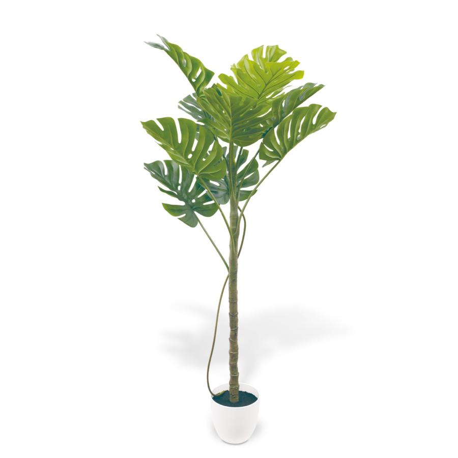 Eclia アーティシャルグリーン モンステラ フェイクグリーン CT触媒 抗菌 消臭 防汚 日本国内加工 組立式 造花 エクリア Eclia KH-61392 (D1-10) |  | 05