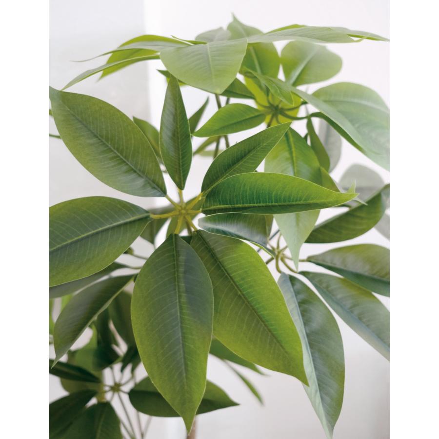 Eclia アーティシャルグリーン パキラ フェイクグリーン CT触媒 抗菌 消臭 防汚 日本国内加工 組立式 造花 エクリア Eclia KH-61393 (D1-16) |  | 03