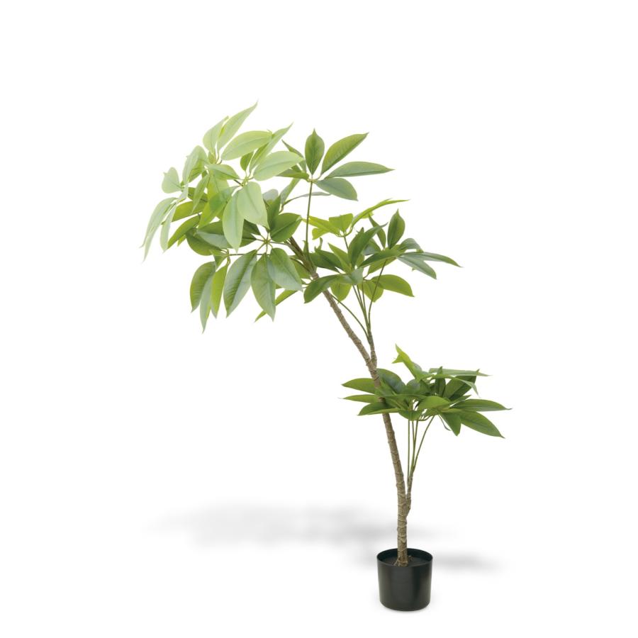 Eclia アーティシャルグリーン パキラ フェイクグリーン CT触媒 抗菌 消臭 防汚 日本国内加工 組立式 造花 エクリア Eclia KH-61393 (D1-16) |  | 04