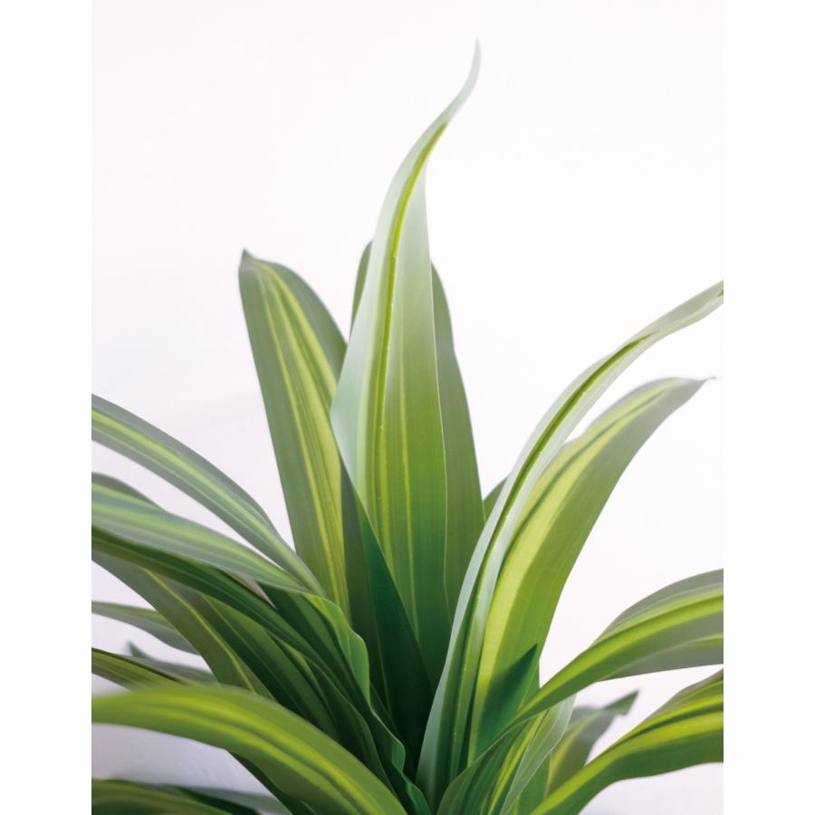 Eclia アーティシャルグリーン ドラセナ フェイクグリーン CT触媒 抗菌 消臭 防汚 日本国内加工 組立式 造花 エクリア Eclia KH-61395 (D1-14) |  | 03