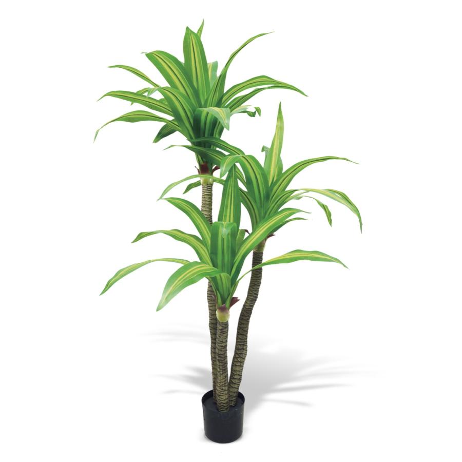 Eclia アーティシャルグリーン ドラセナ フェイクグリーン CT触媒 抗菌 消臭 防汚 日本国内加工 組立式 造花 エクリア Eclia KH-61395 (D1-14) |  | 04