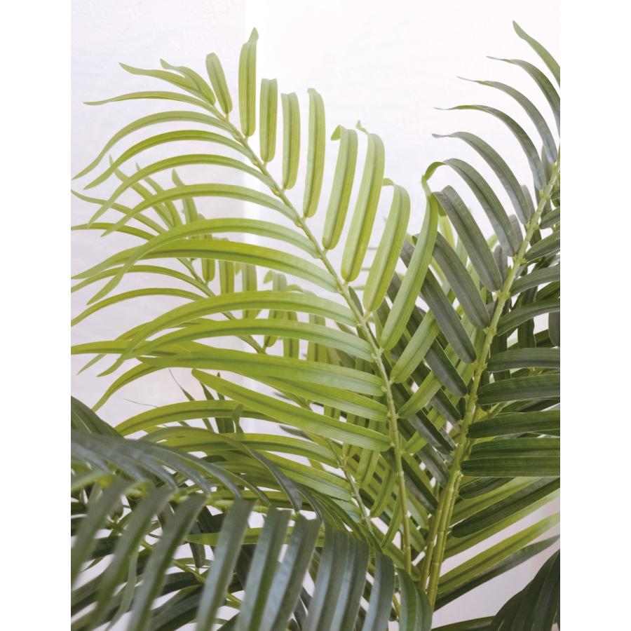 Eclia アーティシャルグリーン アレカバーム フェイクグリーン CT触媒 抗菌 消臭 防汚 日本国内加工 組立式 造花 エクリア Eclia KH-61394 (D1-12) |  | 03