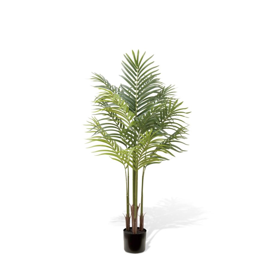 Eclia アーティシャルグリーン アレカバーム フェイクグリーン CT触媒 抗菌 消臭 防汚 日本国内加工 組立式 造花 エクリア Eclia KH-61394 (D1-12) |  | 04