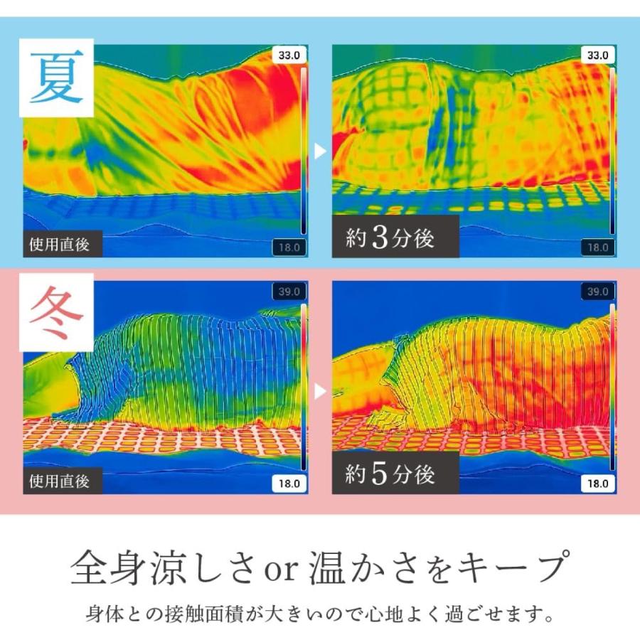 電響社 DQM-1A 温冷水敷きパッド シングルサイズ 20〜45℃ リモコン付 おやすみモード 温冷水マット 水循環マット Denkyosha (D1-12) |  | 03