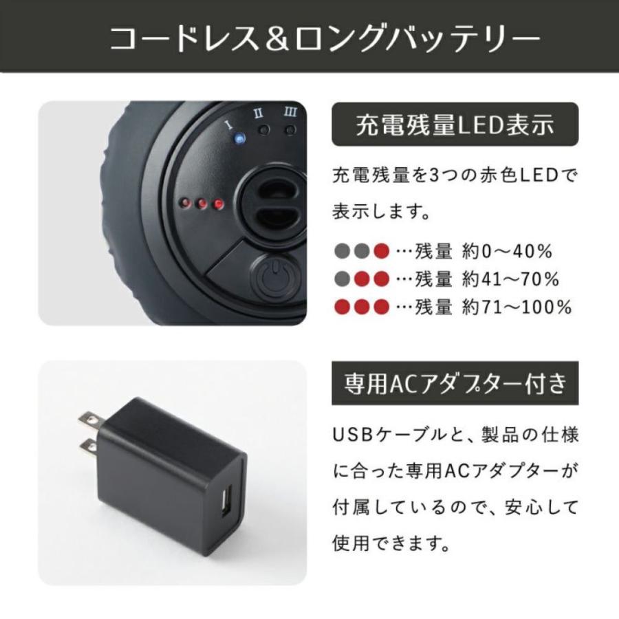 MOMiLUX DTB-2201 ポイントビート ツインボール モミラックス マッサージ ベルト付 DOSHISHA ドウシシャ (R) | DOSHISHA | 09