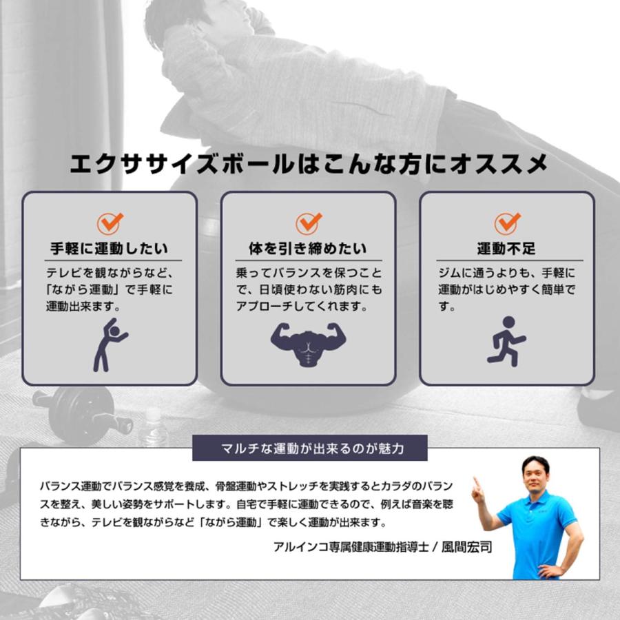 ALINCO エクササイズボール バランスボール 椅子 スツール ストレッチ フィットネス ヨガ エクササイズ バランス アルインコ(F) | ALINCO | 02