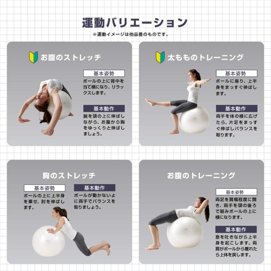 ALINCO エクササイズボール バランスボール 椅子 スツール ストレッチ フィットネス ヨガ エクササイズ バランス アルインコ(F) | ALINCO | 03