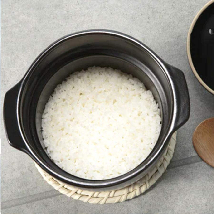 CCP 電子レンジ調理土鍋 BF-DN97-BK TETTORI 直火調理 電子レンジ 炊飯 煮る 蒸す 米 うどん 土鍋 シーシーピー (08) | CCP | 05