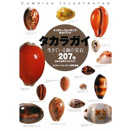 タカラガイ 生きている海の宝石 (ネイチャーウォッチングガイドブック)(中古品) | 