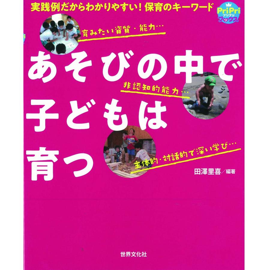あそびの中で子どもは育つ 実践例だからわかりやすい！保育のキーワード！(中古品) | 