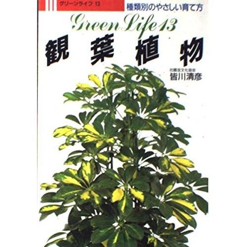 観葉植物 (GREEN LIFE 13)(中古品) | 