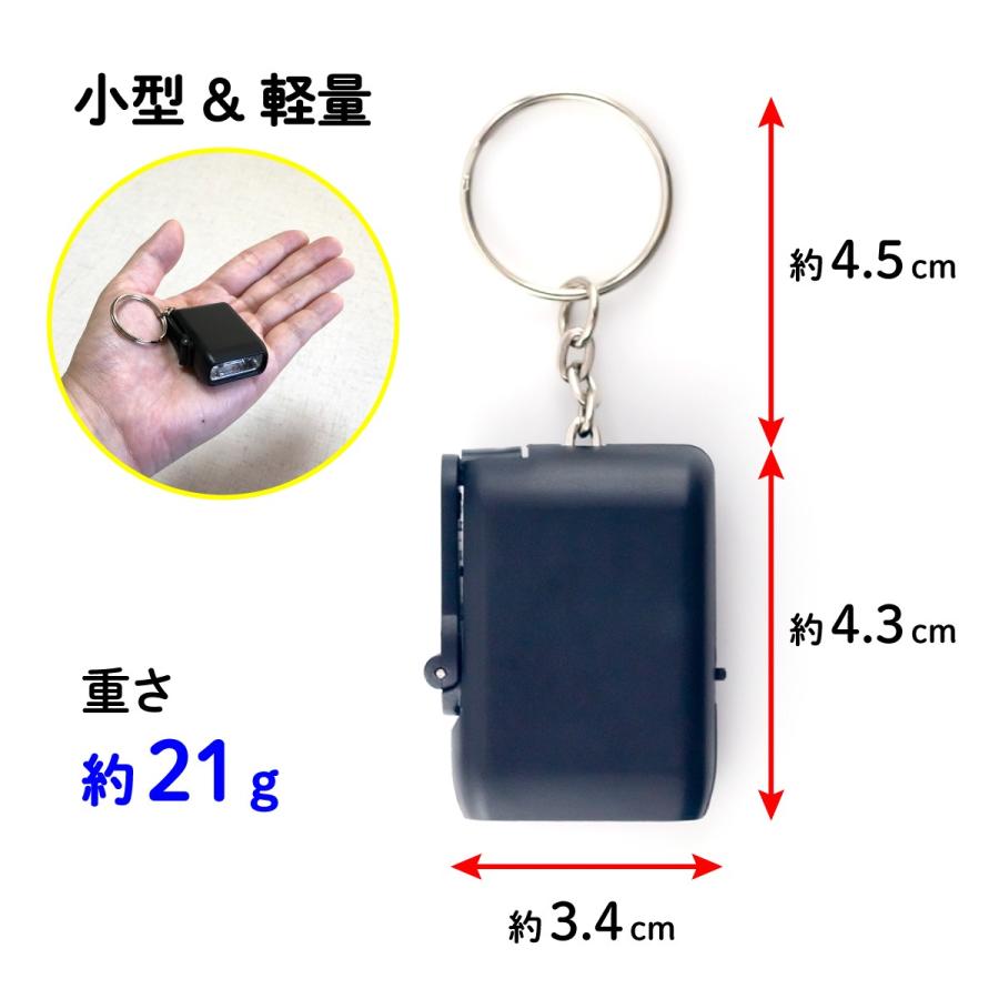 LED ライト キーホルダー型 手回し 充電 送料無料 : いろいろハウス
