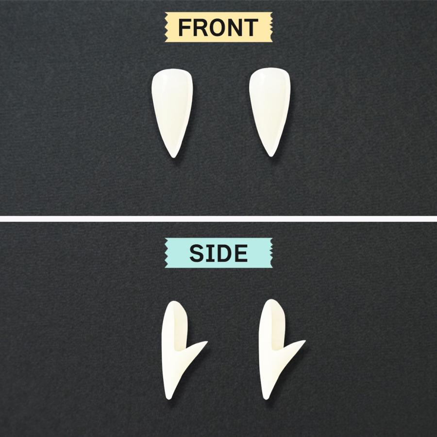 吸血鬼 つけ牙 6本セット 大人用 ハロウィン 仮装 ドラキュラ ヴァンパイア コスプレメイク パーティー イベント 文化祭 学園祭 送料無料 |  | 03