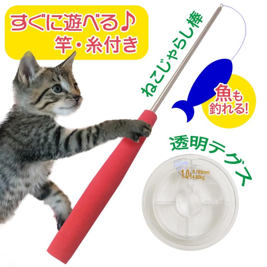 楽天市場】【送料無料】猫じゃらしセット ボックス 猫 おもちゃ
