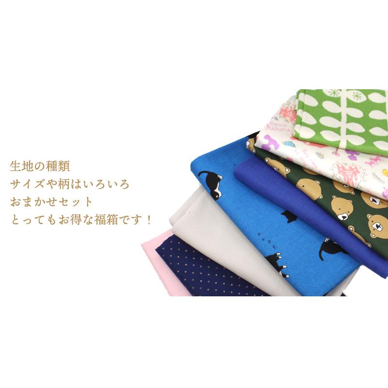 【◇送料無料・同梱不可-同梱の場合はキャンセル】◆おたのしみ福袋ハギレセット(1919)｜ハギレボックス,生地,お得,大容量,安い,大量,ハギレ,福袋,送料無料,2024 | 銀河工房 | 03