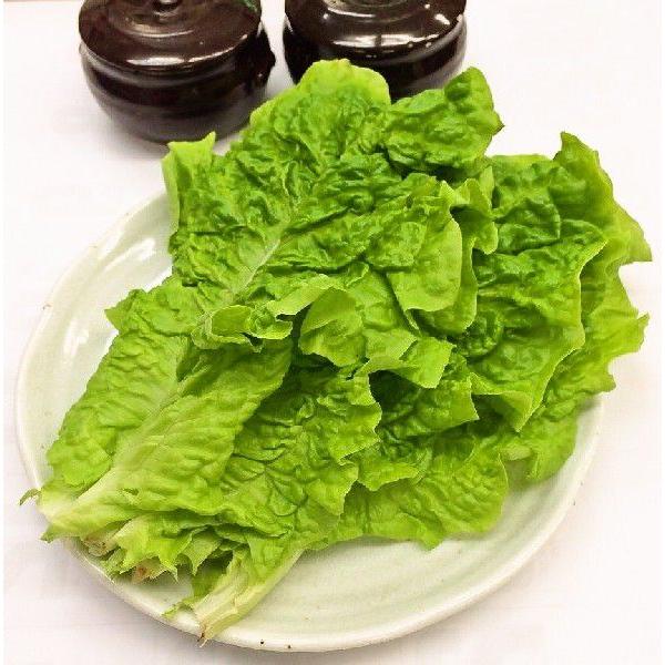 サニーレタス サンチュ １ケース ２００枚 サンギョップサル バーベキュー 韓国野菜 焼肉 0003 手作りキムチ専門店 通販 Yahoo ショッピング